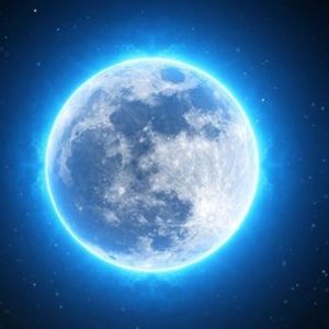 Meet your Posher, Natasha